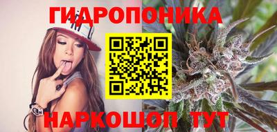 стаф Свободный