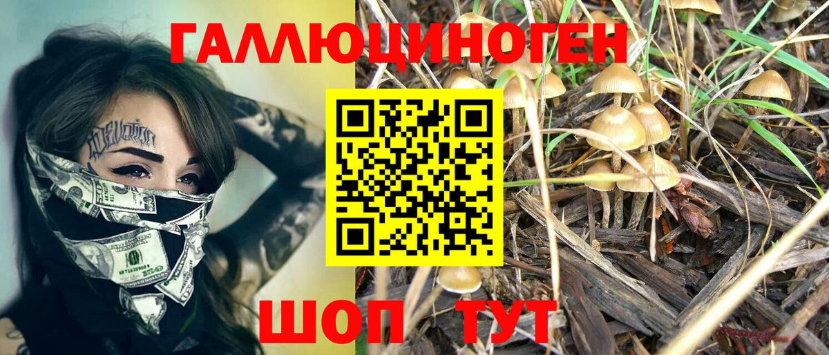 Южноуральск  Галлюциногенные грибы Psilocybe  Вход с VPN 