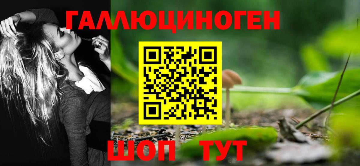 Галлюциногенные грибы мухоморы Южноуральск